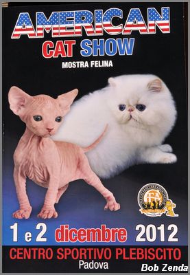 Show Catalog Cover